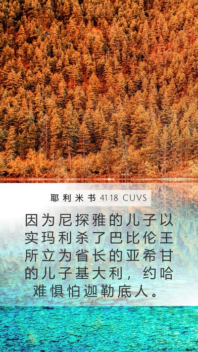 耶 利 米 书 41:18 CUVS Mobile Phone Wallpaper - 因 为 尼 探 雅 的 儿 子 以 实 玛 利 - Mobile Bible Verse Wallpaper