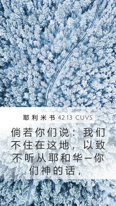 耶 利 米 书 42:13 CUVS Bible Verse Image