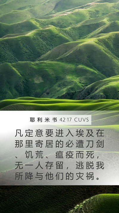 耶 利 米 书 42:17 CUVS Bible Verse Image