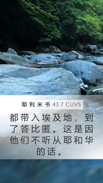 耶 利 米 书 43:7 CUVS Bible Verse Image