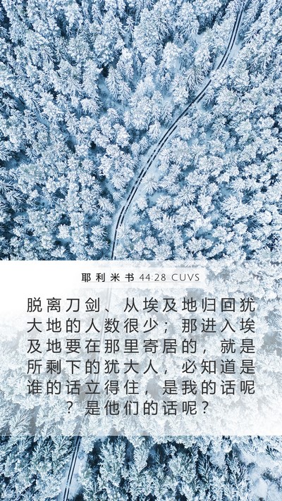 耶 利 米 书 44:28 CUVS Bible Verse Image