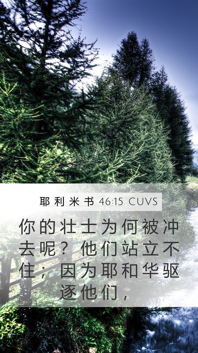 耶 利 米 书 46:15 CUVS Bible Verse Image
