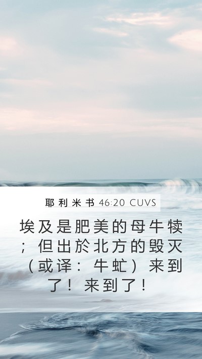 耶 利 米 书 46:20 CUVS Bible Verse Image