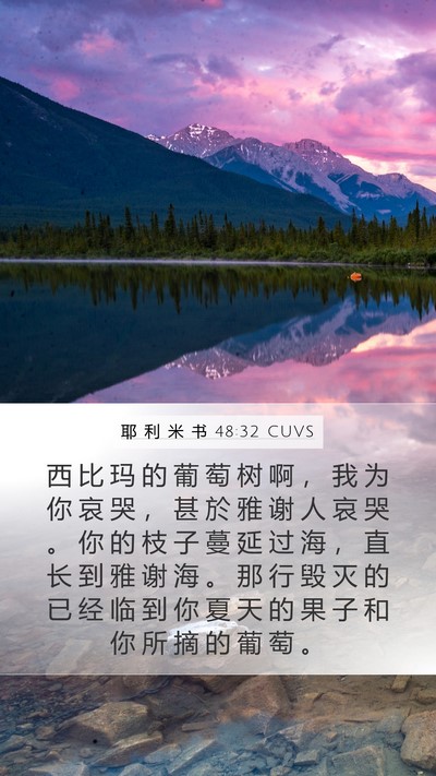 耶 利 米 书 48:32 CUVS Bible Verse Image