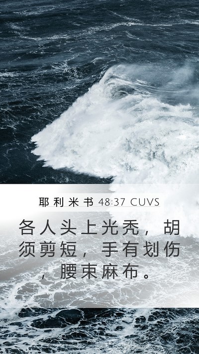 耶 利 米 书 48:37 CUVS Bible Verse Image