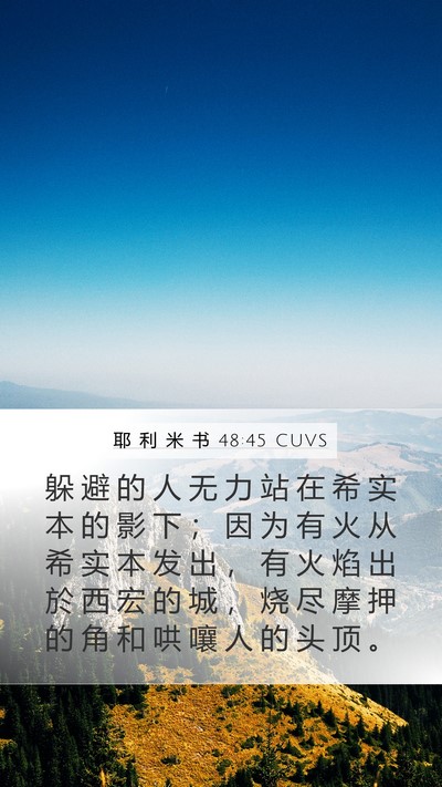 耶 利 米 书 48:45 CUVS Bible Verse Image
