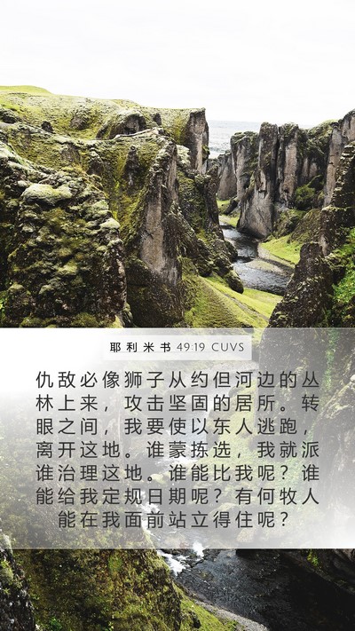耶 利 米 书 49:19 CUVS Bible Verse Image