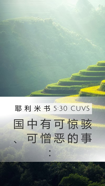 耶 利 米 书 5:30 CUVS Mobile Phone Wallpaper - 国 中 有 可 惊 骇 、 可 憎 恶 的 事 - Mobile Bible Verse Wallpaper