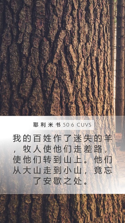 耶 利 米 书 50:6 CUVS Bible Verse Image