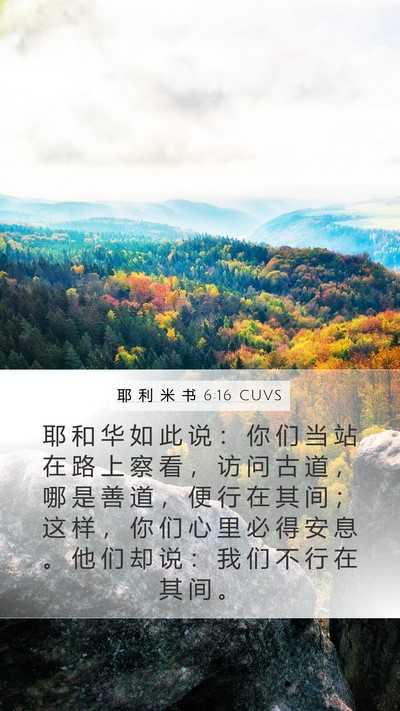 耶 利 米 书 6:16 CUVS Bible Verse Image