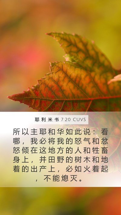 耶 利 米 书 7:20 CUVS Bible Verse Image