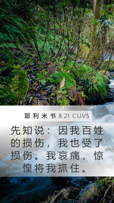 耶 利 米 书 8:21 CUVS Bible Verse Image