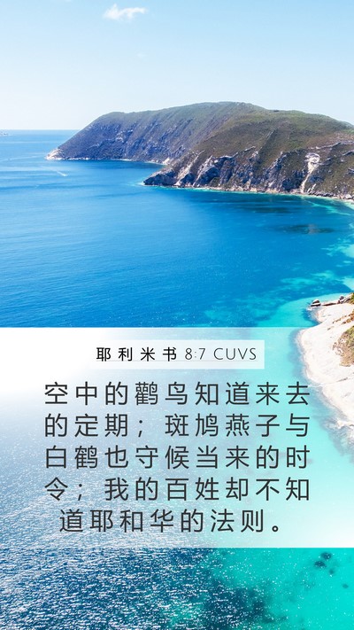 耶 利 米 书 8:7 CUVS Bible Verse Image