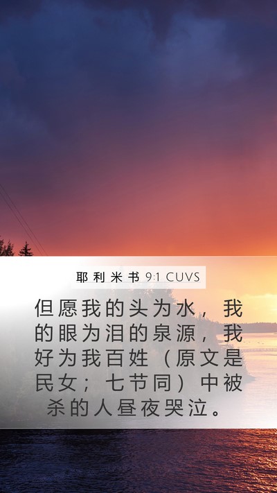 耶 利 米 书 9:1 CUVS Mobile Phone Wallpaper - 但 愿 我 的 头 为 水 ， 我 的 眼 为 - Mobile Bible Verse Wallpaper