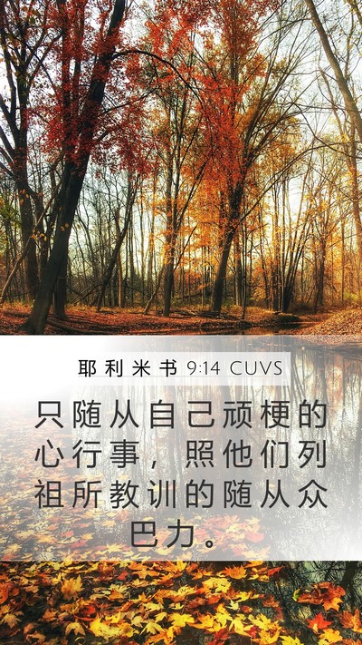 耶 利 米 书 9:14 CUVS Bible Verse Image