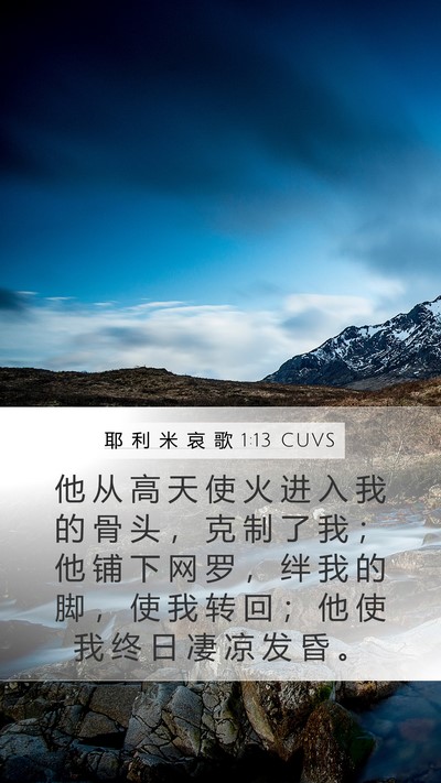耶 利 米 哀 歌 1:13 CUVS Bible Verse Image