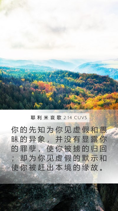 耶 利 米 哀 歌 2:14 CUVS Bible Verse Image