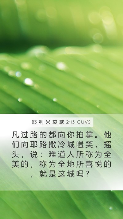 耶 利 米 哀 歌 2:15 CUVS Bible Verse Image