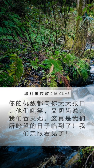 耶 利 米 哀 歌 2:16 CUVS Bible Verse Image