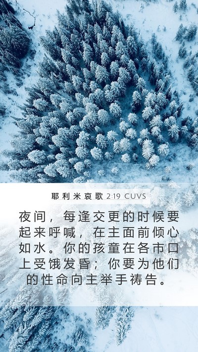 耶 利 米 哀 歌 2:19 CUVS Bible Verse Image