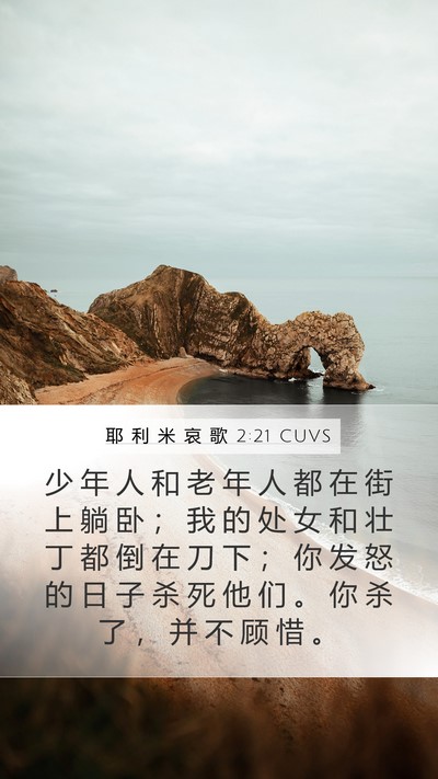 耶 利 米 哀 歌 2:21 CUVS Bible Verse Image