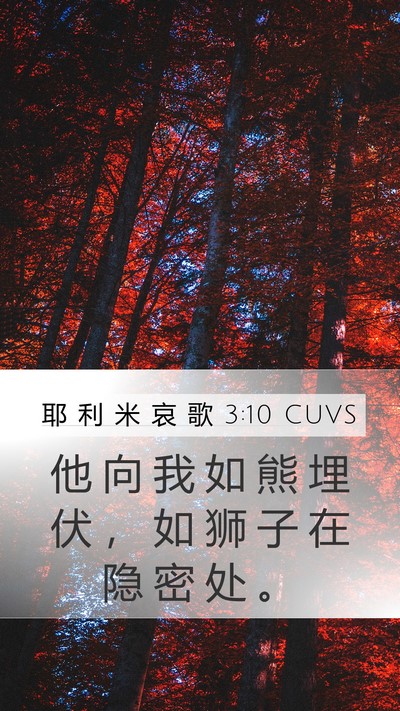 耶 利 米 哀 歌 3:10 CUVS Bible Verse Image