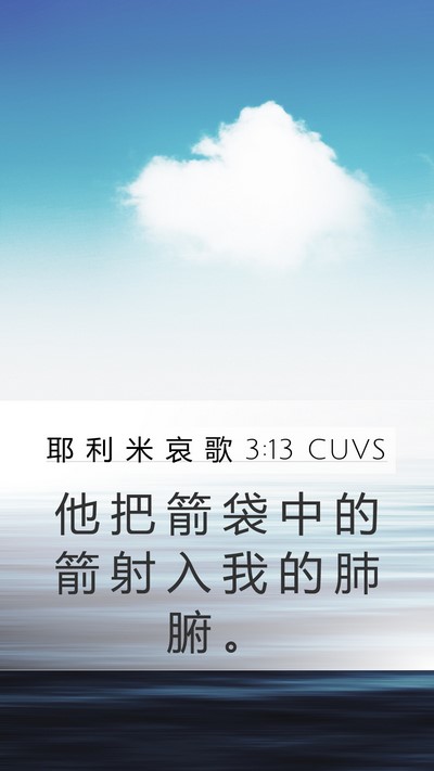 耶 利 米 哀 歌 3:13 CUVS Bible Verse Image