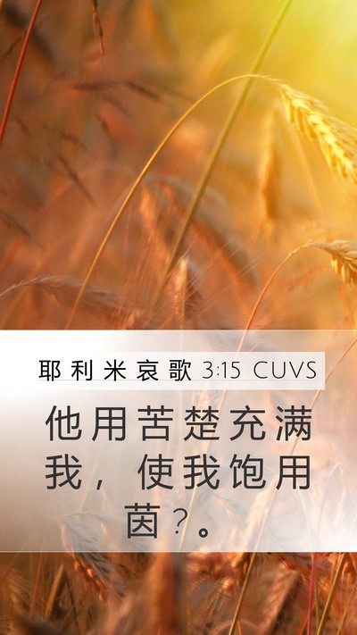 耶 利 米 哀 歌 3:15 CUVS Bible Verse Image