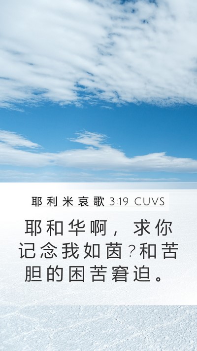 耶 利 米 哀 歌 3:19 CUVS Bible Verse Image
