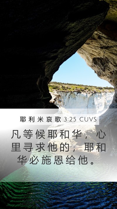 耶 利 米 哀 歌 3:25 CUVS Bible Verse Image