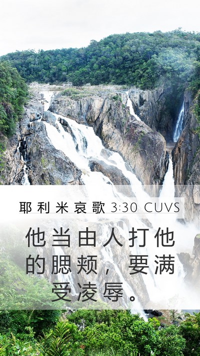 耶 利 米 哀 歌 3:30 CUVS Bible Verse Image