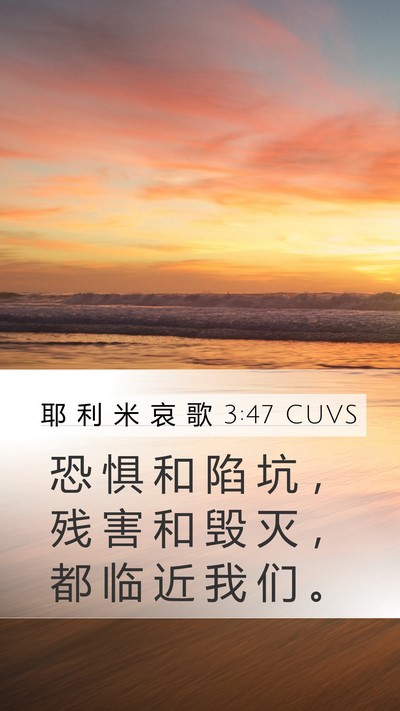 耶 利 米 哀 歌 3:47 CUVS Bible Verse Image