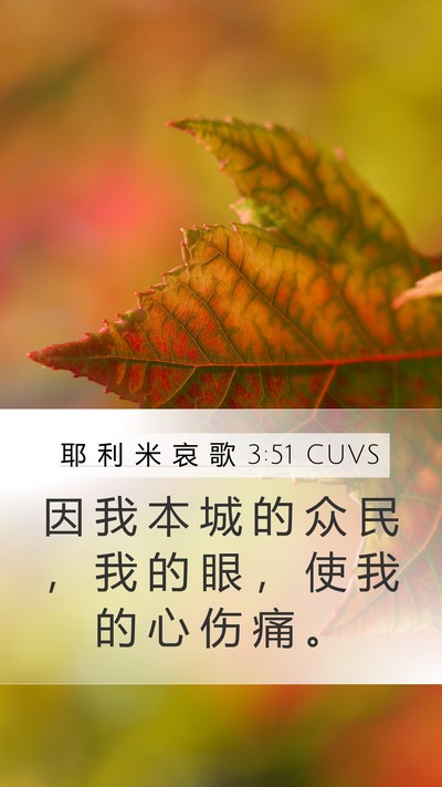 耶 利 米 哀 歌 3:51 CUVS Bible Verse Image