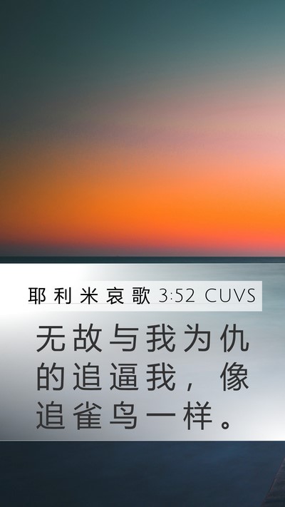 耶 利 米 哀 歌 3:52 CUVS Bible Verse Image