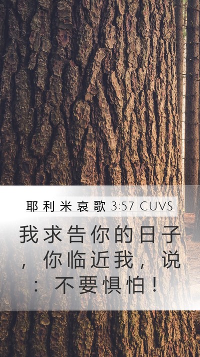 耶 利 米 哀 歌 3:57 CUVS Mobile Phone Wallpaper - 我 求 告 你 的 日 子 ， 你 临 近 我 - Mobile Bible Verse Wallpaper