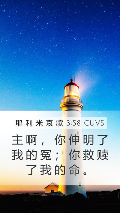 耶 利 米 哀 歌 3:58 CUVS Bible Verse Image