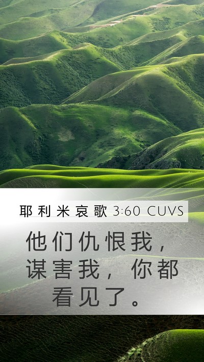 耶 利 米 哀 歌 3:60 CUVS Mobile Phone Wallpaper - 他 们 仇 恨 我 ， 谋 害 我 ， 你 都 - Mobile Bible Verse Wallpaper
