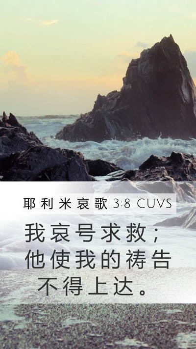 耶 利 米 哀 歌 3:8 CUVS Bible Verse Image