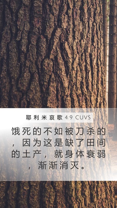 耶 利 米 哀 歌 4:9 CUVS Bible Verse Image