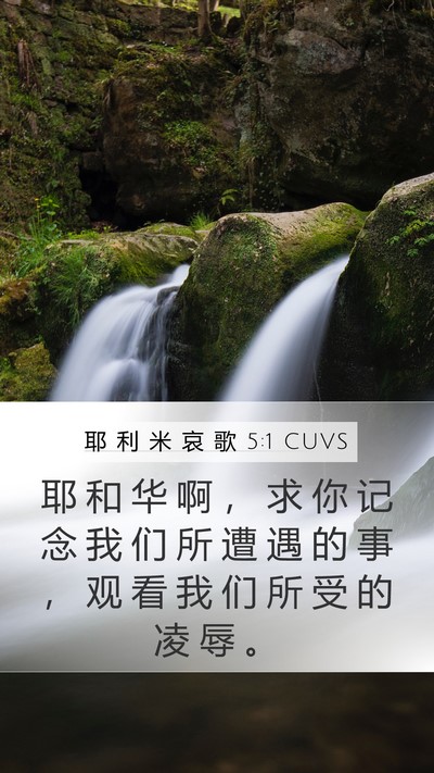 耶 利 米 哀 歌 5:1 CUVS Bible Verse Image