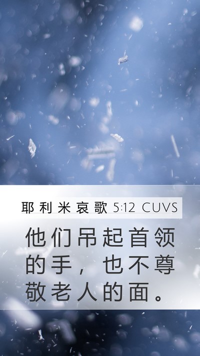 耶 利 米 哀 歌 5:12 CUVS Bible Verse Image