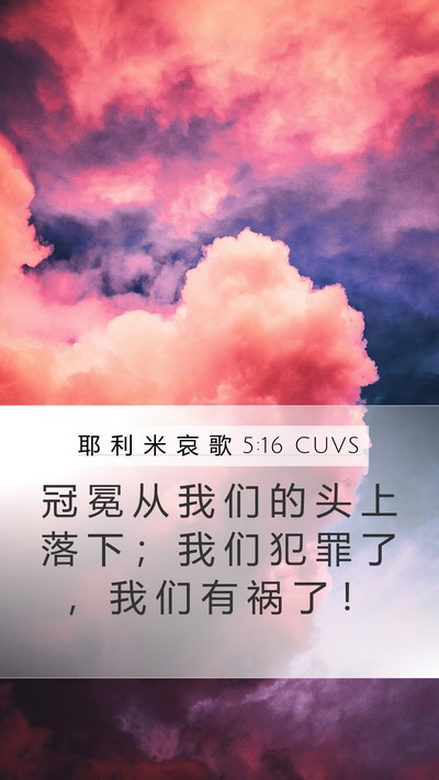 耶 利 米 哀 歌 5:16 CUVS Bible Verse Image
