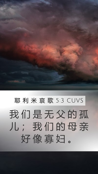 耶 利 米 哀 歌 5:3 CUVS Bible Verse Image