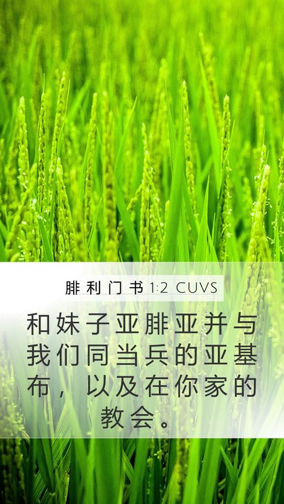 腓 利 门 书 1:2 CUVS Mobile Phone Wallpaper - 和 妹 子 亚 腓 亚 并 与 我 们 同 当 - Mobile Bible Verse Wallpaper