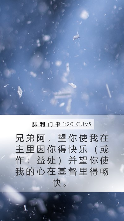 腓 利 门 书 1:20 CUVS Mobile Phone Wallpaper - 兄 弟 阿 ， 望 你 使 我 在 主 里 因 - Mobile Bible Verse Wallpaper