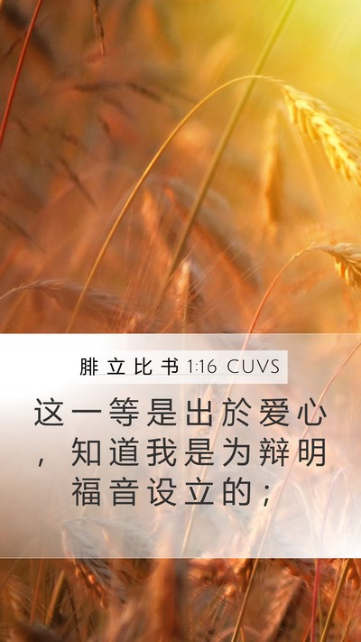 腓 立 比 书 1:16 CUVS Bible Verse Image