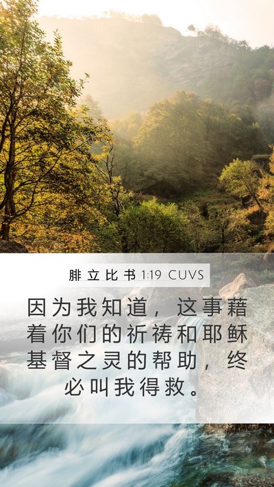 腓 立 比 书 1:19 CUVS Bible Verse Image