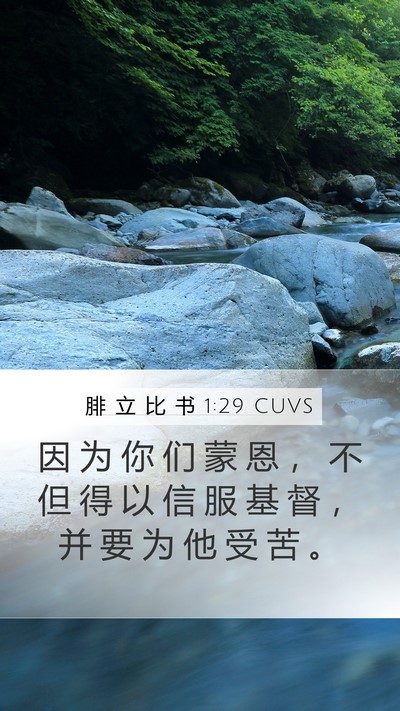 腓 立 比 书 1:29 CUVS Mobile Phone Wallpaper - 因 为 你 们 蒙 恩 ， 不 但 得 以 信 - Mobile Bible Verse Wallpaper
