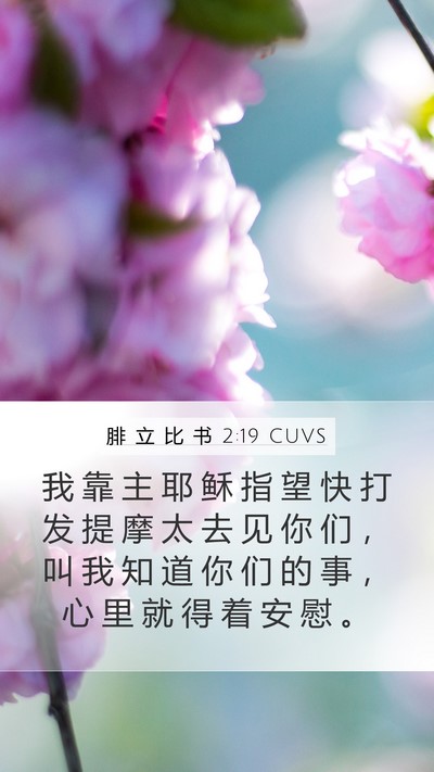 腓 立 比 书 2:19 CUVS Bible Verse Image