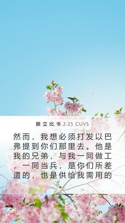 腓 立 比 书 2:25 CUVS Bible Verse Image
